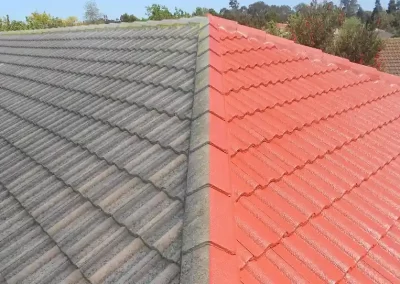 Vibrant And Durable Paint On A Newly Finished Roof